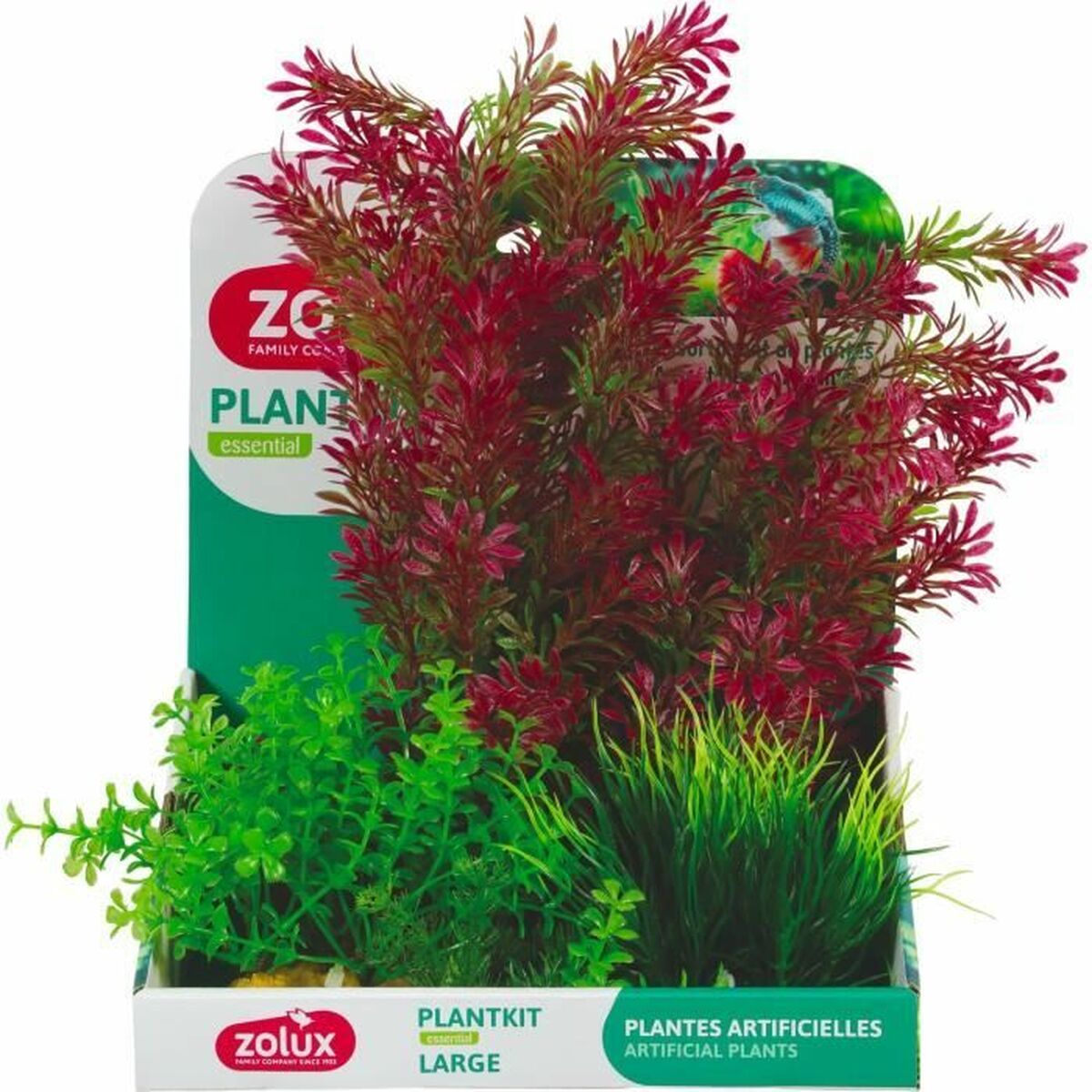 Aquarium plants