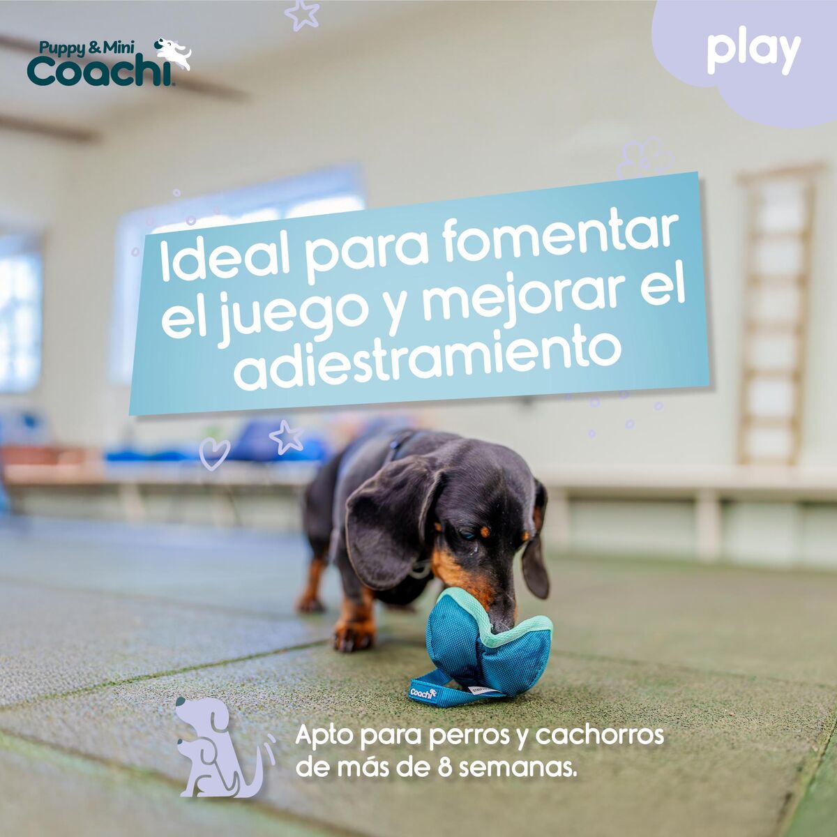 V5HDDDEDAD77D66E7DFBD3714CC45FED55CR5717682P4