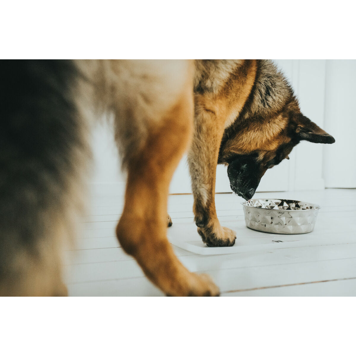 V7H56D6742BEE5E02847423AE18B4C9B827R4438110P4